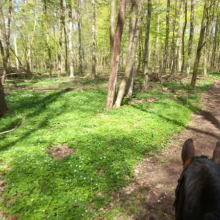 Dorfblick Vom Muckesberg Lubeck
